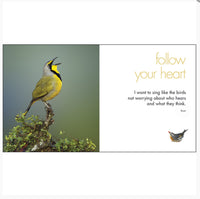 A Little Book of Featured Friends - By Affirmations - Follow your heart - I want to Tsing like the birds not worrying about who hears and what they think. - Rumi