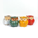 Beautifully colourful owl planters. Available in two sizes  14cm or 18cm  Sold separately Medium 14cm