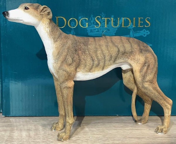 Beautifully Presented brindle and white greyhound. Each piece made from height quality resin and  is presented in a secure gift box. Made my Leonardo Design.