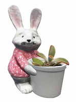 Beautiful Mi Mi the Rabbit Planter. Holds a 7.5cm pot. made from Dolomite. Has a drain hole.