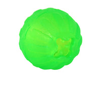 Treat Dispenser Chew Ball
