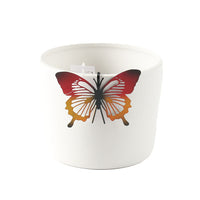 Butterfly Pot Hangers