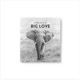A Little book of BIG LOVE - by Affirmations - Starts with words - From a small seed a might trunk may grow