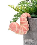 Ceramic Caterpillar in Coral