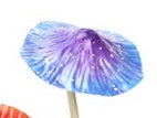  Purple - Fun and fantastic metal mushrooms to add colour and interest to your garden. Mushroom head is spring attached to stem. Each mushroom sold separately.  Small - 9.5cm x 9.5cm x 24 cm H  Large - 14.5cm 14.5 cm x 36 H