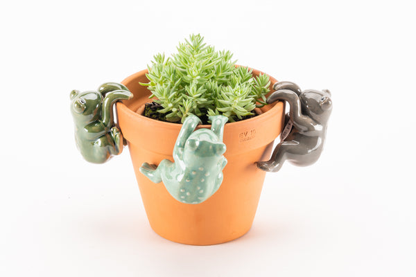 Ceramic Frog pot sitters. Fantastic to jazz up any pot in the garden or inside the home. Colours available are Jade Green, Dark Green or Dark Grey.  Dimensions: 9.7cm x 6.5cm x 7 cm