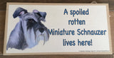 Plaque - A spoiled rotten Miniature Schnauzer lives here!