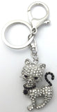 Keyring Boxed Diamante