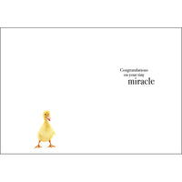 Inside verse - Congratulations on your tiny Miracle