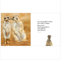 Little book of Meerkat Magic - By Affirmations - Page reads: Let us be grateful to those who make us happy; they are the charming gardeners who are our souls blossom.. Marcel Proust