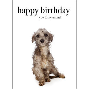 Affirmation Card - Beautiful presented card.  Happy Birthday - You filthy animal!  Inside Verse - I lick you!