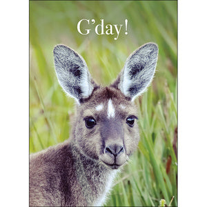Affirmation cards - G’Day!