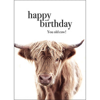 Affirmations card - Happy Birthday you old Cow!