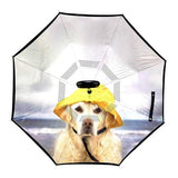 Reverse Umbrellas by IOco - Designs by Dani Till