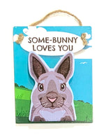 Pet Pegs - Some-Bunny loves you - magnet or hanging note clip