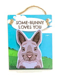 Pet Pegs - Some-Bunny loves you - magnet or hanging note clip