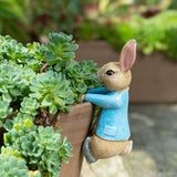 Peter Rabbit hanging onto the pot - Pot Buddies Beatrix Potter