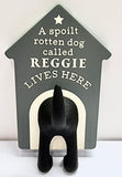 Dog Lead Hooks - Reggie