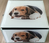 Glass Dog Keepsake Box - Fantastic gift for Dog lovers - photo on Box is a Beagle