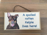 Kelpie Plaque - A Spoiled dog lives here