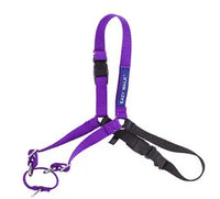 Gentle Leader Easy Walk Harness