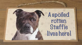 SSign and image - A spoiled rotten Staffie lives here! (brindle in Colour))
