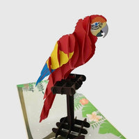 Parrot - Beautifully created Pop Up cards created to to make any gift memorable. Each card is designed and meticulously handcrafted into 3d pop up cards for all occasions. 