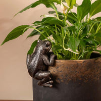 Frog - Pot Buddies antique bronze