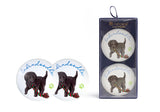 Labradoodle Magnet - Oodles of Oodles Magnets pack of 2 glass magnets.  Our magnet collection display Ashdene’s exquisite designs, using high quality glass. Our magnets are little mementos you can take home from your travels, and beautiful pieces of art to add to your fridge or gift to friends.  Available in  Spoodle, groodle, cavoodle, labradoodle, yorkipoo and moodle.