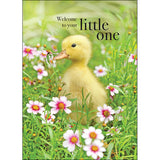 Affirmation Card - Welcome to your Little One.