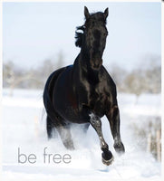 Little book of Heavenly Horses - By Affirmations - Page reads: Be Free - photos a horse running through water