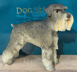 Leonardo Schnauzer