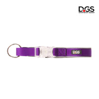 DGS Comet LED Safety Collar with Torch  In purple Small