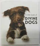 Little book of Divine Dogs - By Affirmations - Page reads