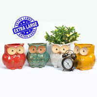 Beautifully colourful owl planters. Available in two sizes  14cm or 18cm  Sold separately Large