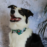 Dog Shirt Collar or Leash - Jungle Fever Discontinued