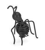 Standing up Tall - Black Wire Ant