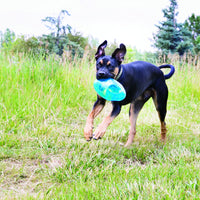 KONG Jumbler Football - 2 sizes available