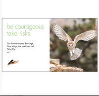 Little book of Old Wisdom - By Affirmations - Page reads Be courageous take risks. you have escaped the cage. your wings are stretched out. Now Fly