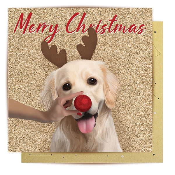 Christmas Cards