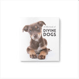A little book of Divine Dogs - by Affirmations 
