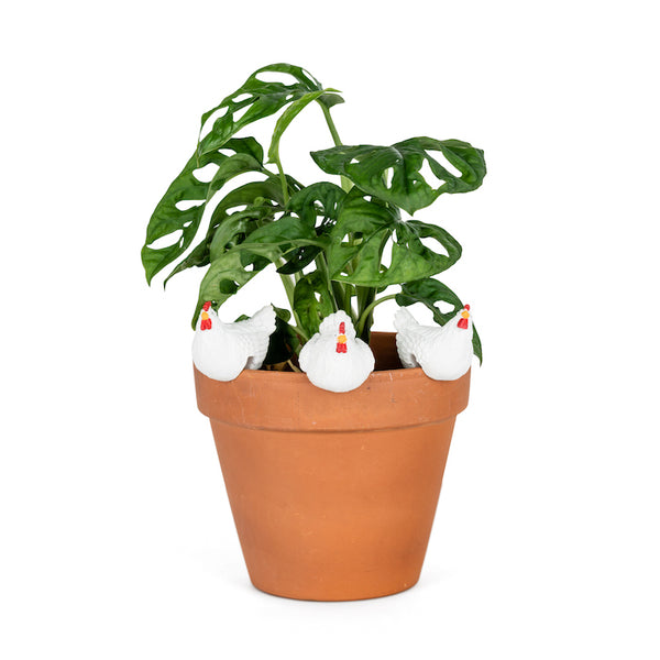 Beautiful Poly resin pot sitter with gap underneath for resting on pots.   Chicken Pot Sitter in White  4.5 x 4.5 x 4.5cm
