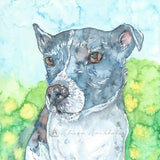 Small Gift card by Alison Archbald - Roger