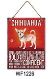 Bright Metal Dog sign - Chihuahua - Intellegnet & fast learners bold, works smallest dog with a big personality, bold fund loving and affectionate. Confident will need a coat in cold weather.  Lovely bright colours signs with each breeds personality traits listed below. Size is 20cm x 27cm each sign. 