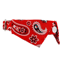Red Paisley shirt collar side view
