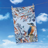 100% Cotton Tea Towels - Azure Kingfisher
