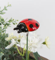 Ladybird on a stick