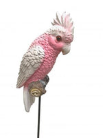 Pink and Grey Baby Galah on a stick- made from resin
