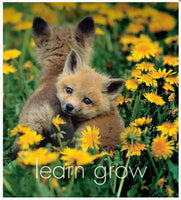 Little book of Baby Wonder - By Affirmations - page reads Learn Grow