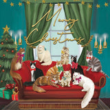 Christmas Cards